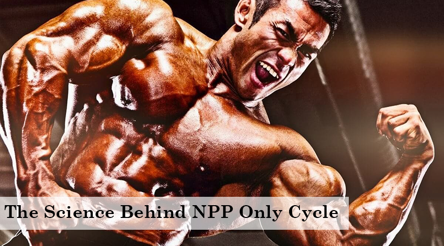npp only cycle